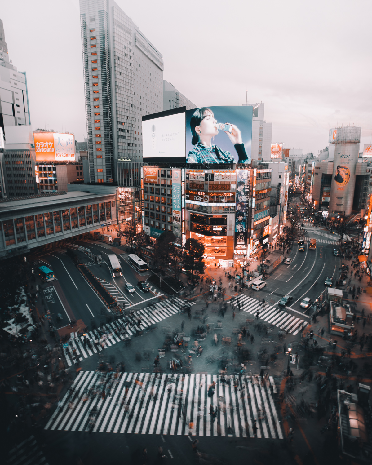 shibuya crossing