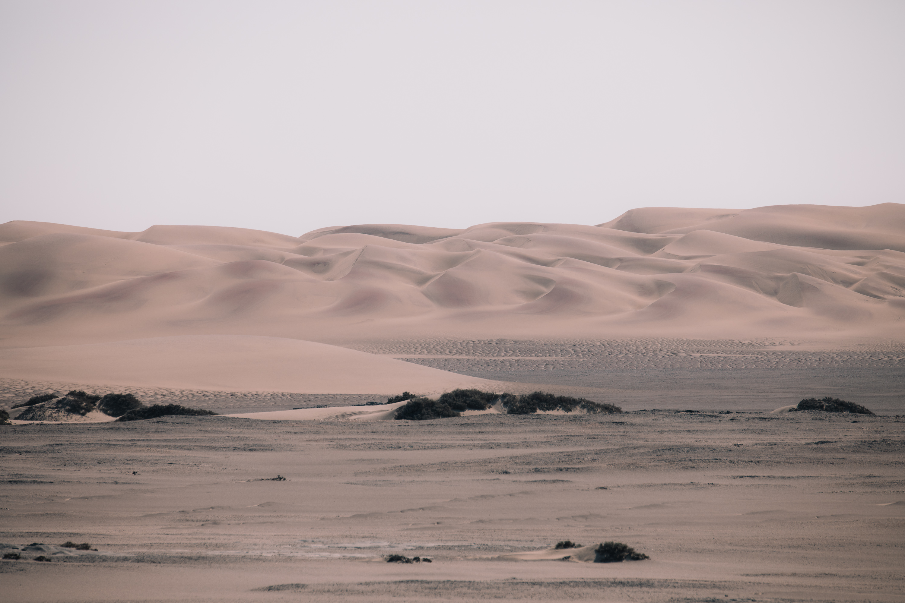 skeleton coast namibie