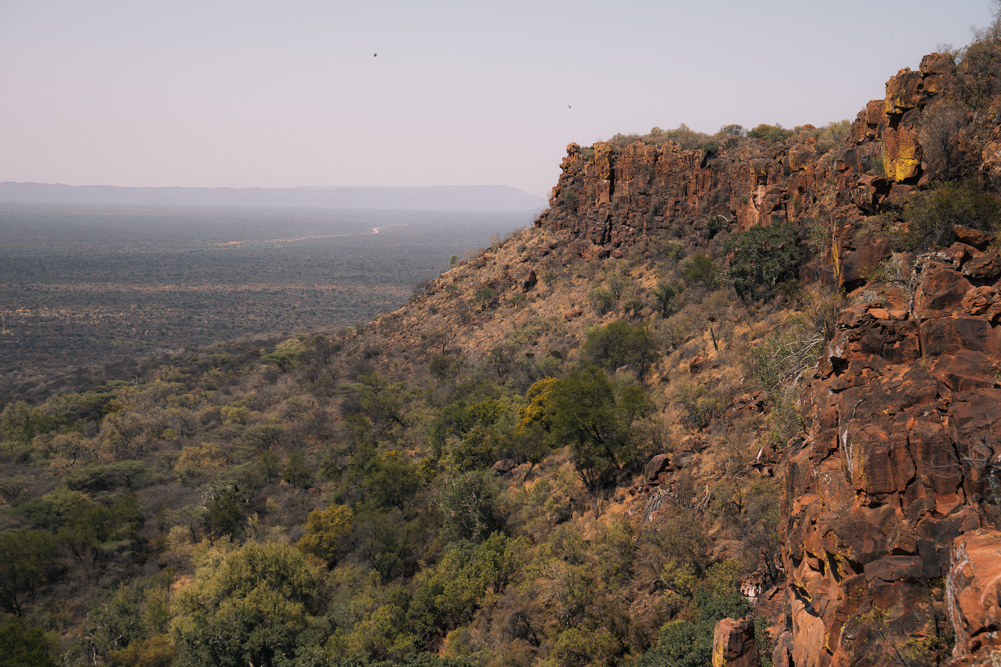 plateau du waterberg namibie